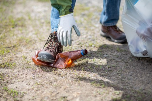 Eco-friendly site clearance practices in action