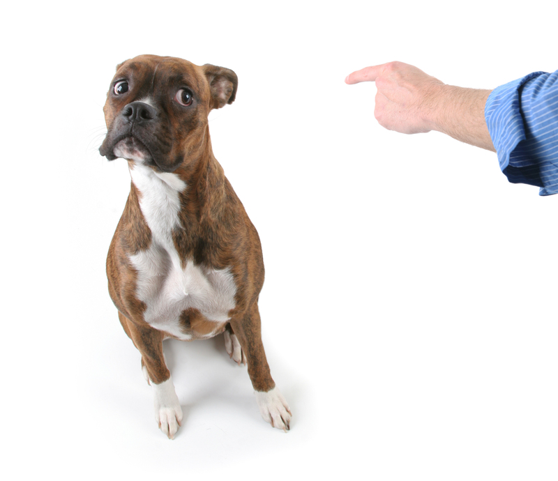 Get Ready to Entertain With This Pre-Party Cleaning Checklist